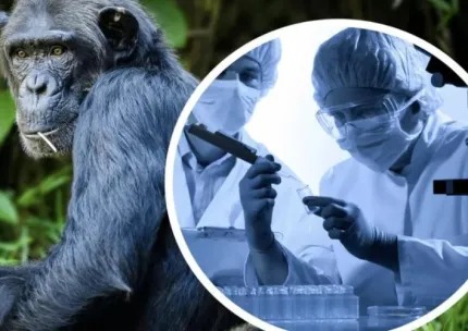 What you need to know about monkeypox?