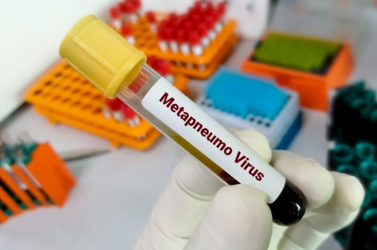 “METAPNEUMOVIRUS. Features, symptoms and methods of prevention” 