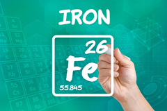 Iron. Role in the human body